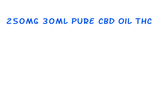 250mg 30ml pure cbd oil thc free paypal