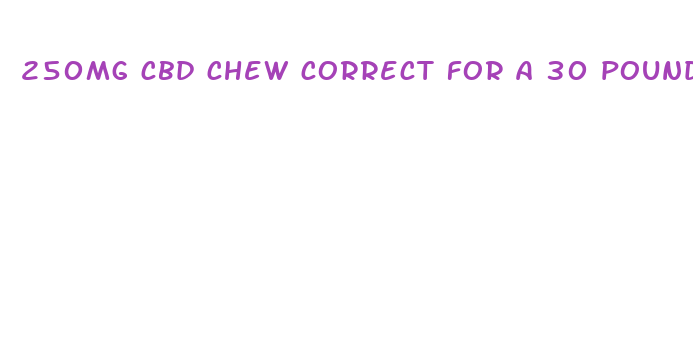 250mg cbd chew correct for a 30 pound dog