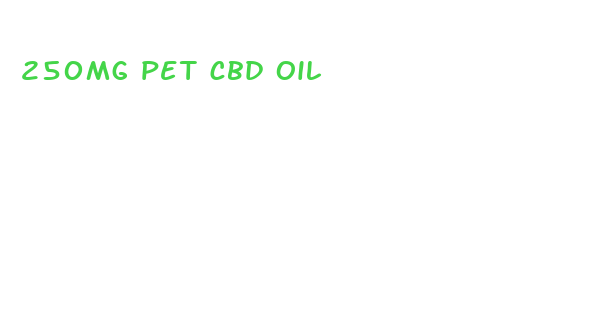 250mg pet cbd oil