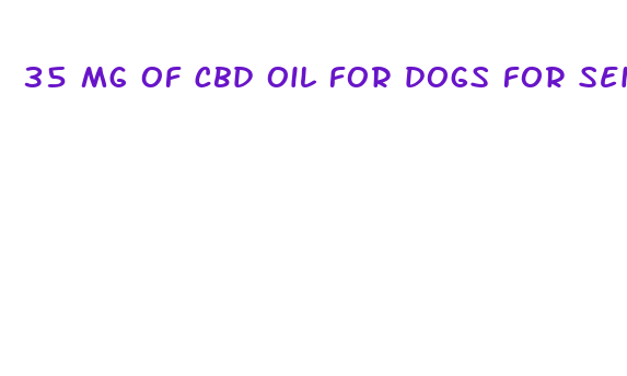 35 mg of cbd oil for dogs for seizures