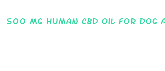 500 mg human cbd oil for dog anxiety