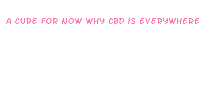 a cure for now why cbd is everywhere