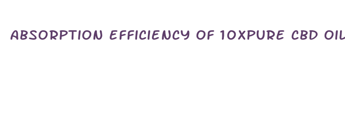 absorption efficiency of 10xpure cbd oil