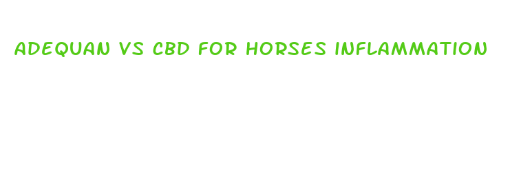 adequan vs cbd for horses inflammation