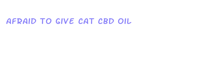 afraid to give cat cbd oil