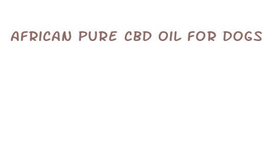 african pure cbd oil for dogs