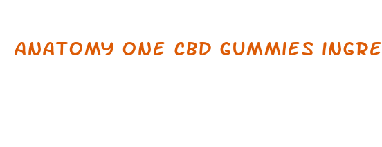 anatomy one cbd gummies ingredients