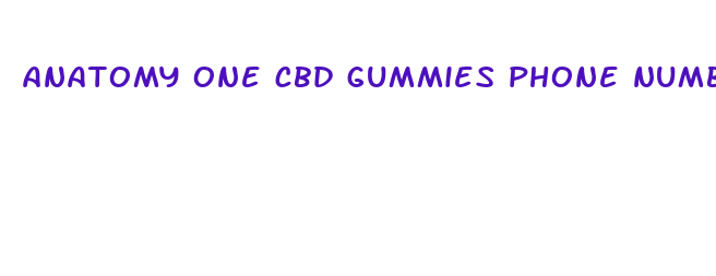 anatomy one cbd gummies phone number