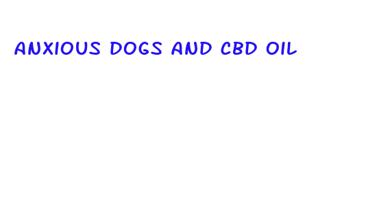 anxious dogs and cbd oil