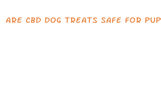 are cbd dog treats safe for puppies