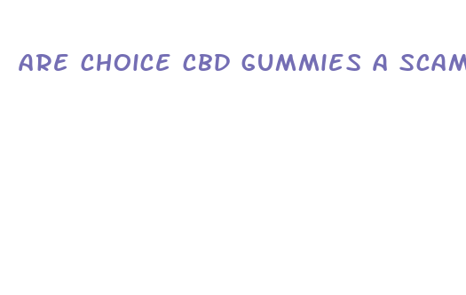 are choice cbd gummies a scam