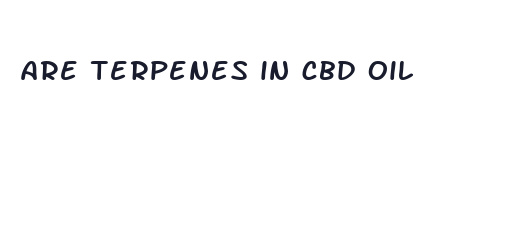 are terpenes in cbd oil