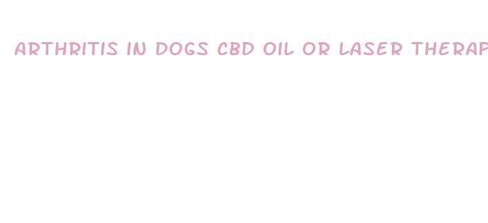 arthritis in dogs cbd oil or laser therapy