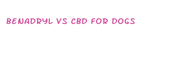 benadryl vs cbd for dogs