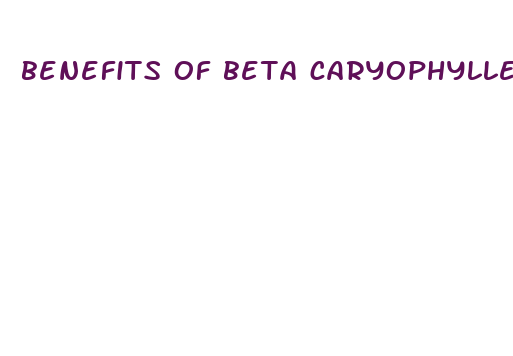 benefits of beta caryophyllene with cbd oil