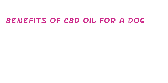 benefits of cbd oil for a dog