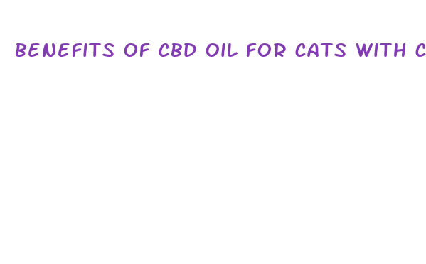 benefits of cbd oil for cats with cancer