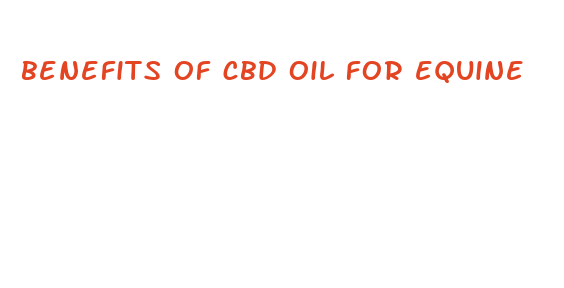 benefits of cbd oil for equine