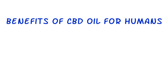 benefits of cbd oil for humans