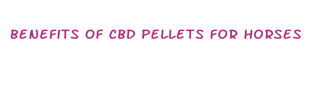 benefits of cbd pellets for horses