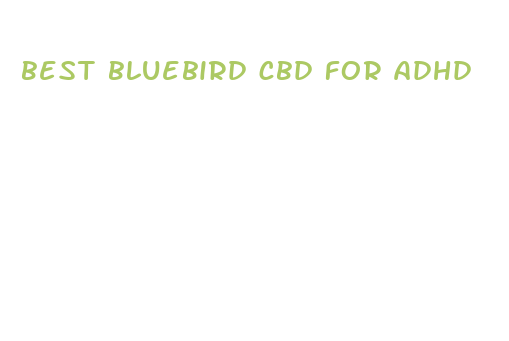 best bluebird cbd for adhd