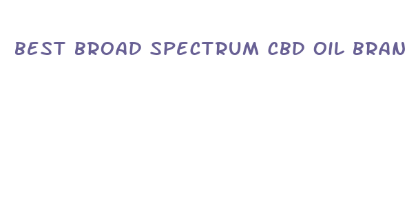 best broad spectrum cbd oil brand