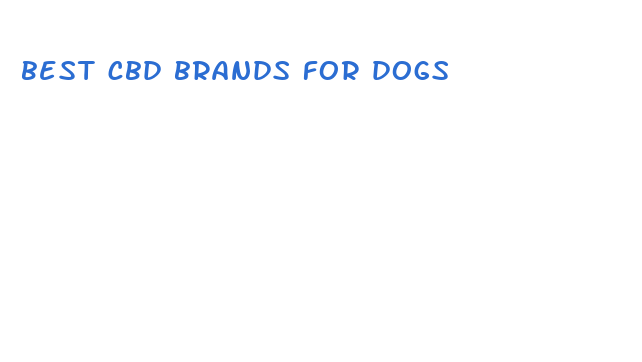 best cbd brands for dogs