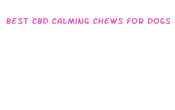 best cbd calming chews for dogs