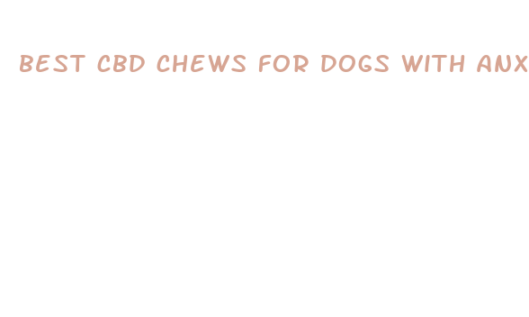 best cbd chews for dogs with anxiety