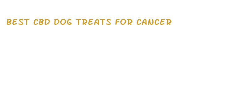 best cbd dog treats for cancer