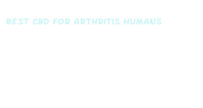 best cbd for arthritis humans