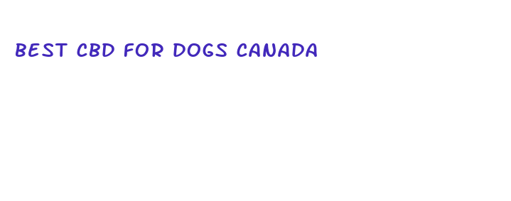 best cbd for dogs canada