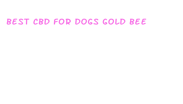 best cbd for dogs gold bee