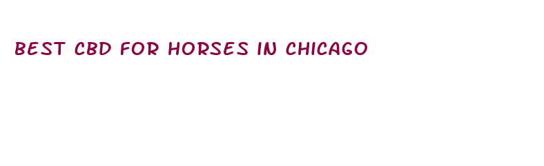 best cbd for horses in chicago