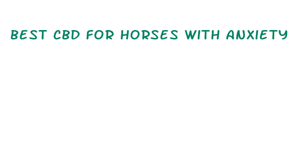 best cbd for horses with anxiety