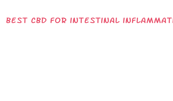 best cbd for intestinal inflammation