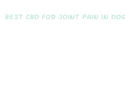 best cbd for joint pain in dogs