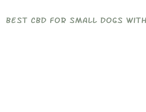 best cbd for small dogs with anxiety