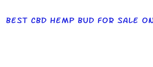 best cbd hemp bud for sale online