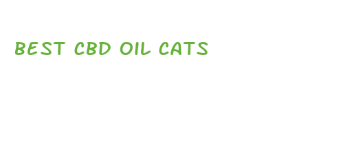 best cbd oil cats