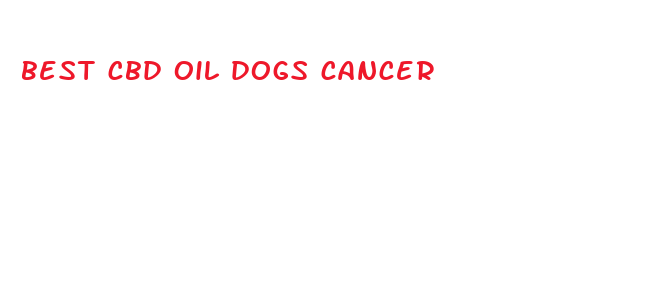 best cbd oil dogs cancer