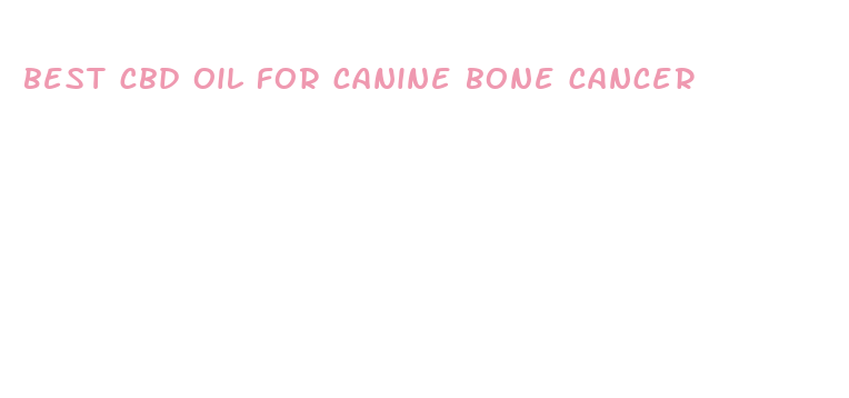 best cbd oil for canine bone cancer