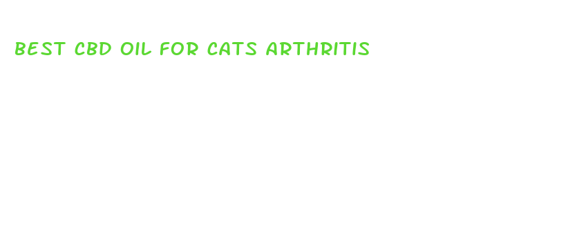 best cbd oil for cats arthritis