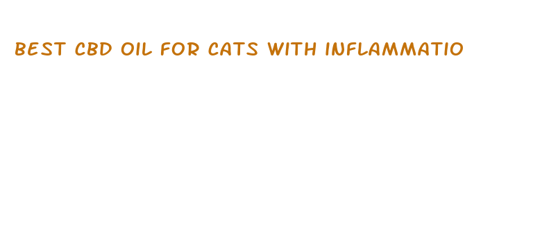 best cbd oil for cats with inflammatio