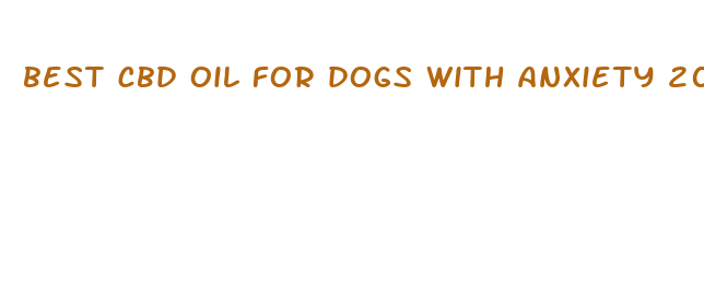 best cbd oil for dogs with anxiety 2024