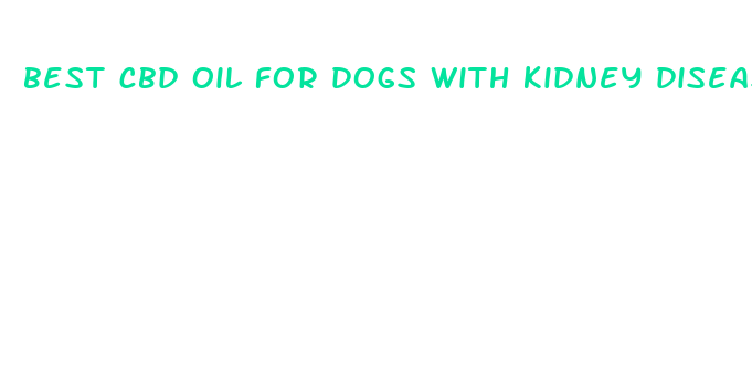 best cbd oil for dogs with kidney disease