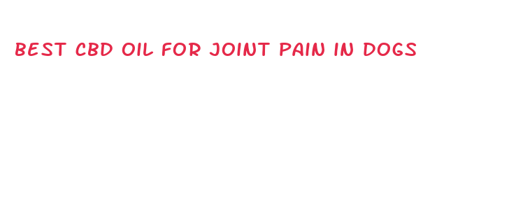 best cbd oil for joint pain in dogs