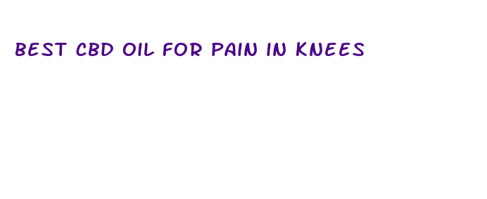 best cbd oil for pain in knees