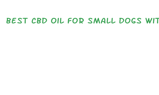 best cbd oil for small dogs with arthritis