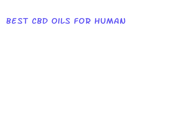 best cbd oils for human